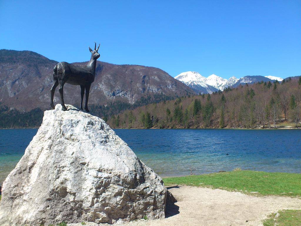 Apartment Bohinjko Экстерьер фото